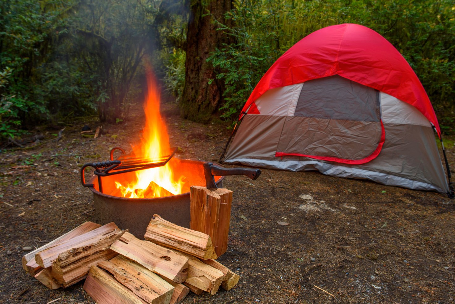 Camping wood fire by the camping tent