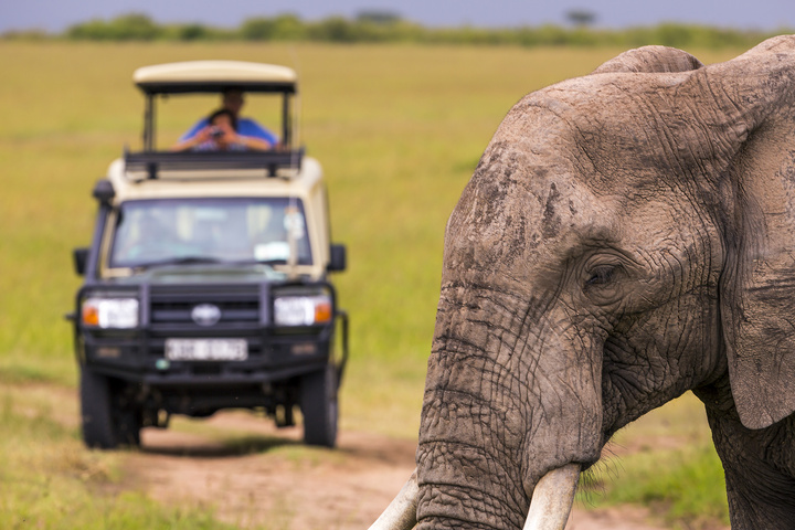 Wildlife viewing in Africa on Masai Mara Safari Tour